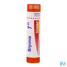 Load image into Gallery viewer, Bryonia 7ch Gr 4g Boiron