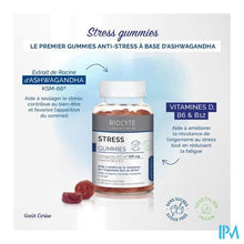Afbeelding in Gallery-weergave laden, Biocyte Stress Gommes 60