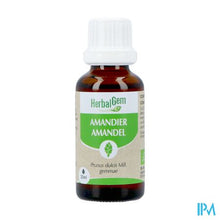 Afbeelding in Gallery-weergave laden, Herbalgem Amandel Bio 30ml