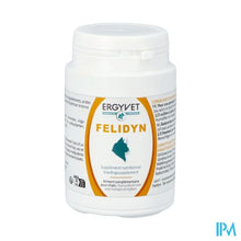 Afbeelding in Gallery-weergave laden, Ergyvet Felidyn Pot 55g
