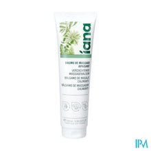 Load image into Gallery viewer, Iana Verzachtende Massagebalsem 100ml