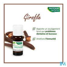 Afbeelding in Gallery-weergave laden, Phytosun Kruidnagel Fr-bio-01 10ml