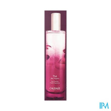 Load image into Gallery viewer, Caudalie Fris Water The Des Vignes 100ml