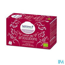 Load image into Gallery viewer, Ladrome Spieren & Gewrichten Builtjes 20