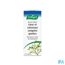 Afbeelding in Gallery-weergave laden, A.Vogel Viscum Album 50ml
