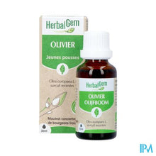 Afbeelding in Gallery-weergave laden, Herbalgem Olijfboom Bio 30ml