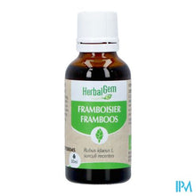 Load image into Gallery viewer, Herbalgem Frambozenstruik Bio 30ml