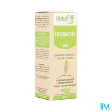 Charger l'image dans la galerie, Herbalgem Heermoes Maceraat 50ml
