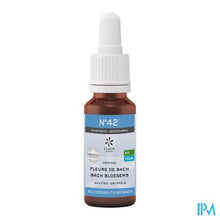 Load image into Gallery viewer, Bachbloesem Bio N°42 Druppels Zelfvertrouwen 20ml