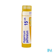 Load image into Gallery viewer, Hypericum Perforatum 15ch Gr 4g Boiron