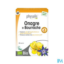 Load image into Gallery viewer, Physalis Teunisbloem+bernagie Caps 40