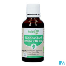 Load image into Gallery viewer, Herbalgem Mammoetboom Bio 30ml
