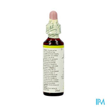 Load image into Gallery viewer, Bach Flower Remedie 23 Olive 20ml