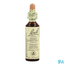 Afbeelding in Gallery-weergave laden, Bach Flower Remedie 30 Sweet Chestnut 20ml