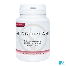 Afbeelding in Gallery-weergave laden, Androplant Comp 100