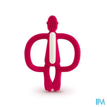 Afbeelding in Gallery-weergave laden, Matchstick Monkey Bijtring Robijn