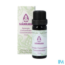 Afbeelding in Gallery-weergave laden, Sjankara Concentratie Synergie 11ml