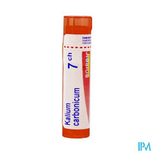 Afbeelding in Gallery-weergave laden, Kalium Carbonicum 7ch Gr 4g Boiron