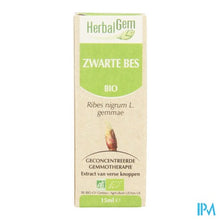 Charger l'image dans la galerie, Herbalgem Zwarte Bes Maceraat 15ml