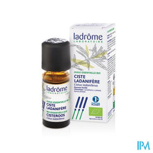 Afbeelding in Gallery-weergave laden, Ladrome Cistus Ladaniferus - Cisteroos 10ml