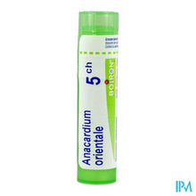 Charger l'image dans la galerie, Anacardium Orientale 5ch Gr 4g Boiron
