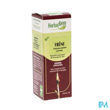 Charger l'image dans la galerie, Herbalgem Es Maceraat 50ml
