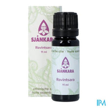 Charger l'image dans la galerie, Sjankara Ravintsara Ess. Olie Bio 11ml