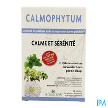 Load image into Gallery viewer, Calmophytum Gel 48 Holistica