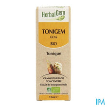 Charger l'image dans la galerie, Herbalgem Tonigem Complex 15ml