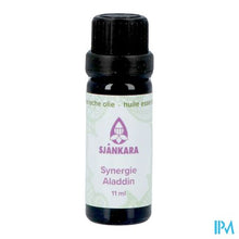 Afbeelding in Gallery-weergave laden, Sjankara Alladin Synergie 11ml