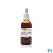 Afbeelding in Gallery-weergave laden, Soria Taraxacum Officinale Xxi Extr.glyc 50ml