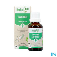 Afbeelding in Gallery-weergave laden, Herbalgem Lijsterbes Bio 30ml