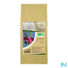 Load image into Gallery viewer, Altho Simples & Bio Tisane Guimauve 40g