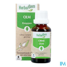 Charger l'image dans la galerie, Herbalgem Olm Bio 30ml