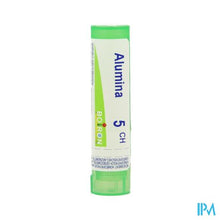 Load image into Gallery viewer, Alumina 5ch Gr 4g Boiron
