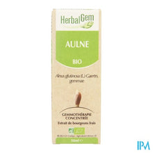 Charger l'image dans la galerie, Herbalgem Els Maceraat 50ml