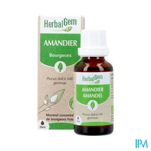 Afbeelding in Gallery-weergave laden, Herbalgem Amandel Bio 30ml