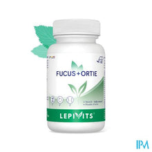 Afbeelding in Gallery-weergave laden, Blaaswier + Brandnetel Caps 60 Lepivits