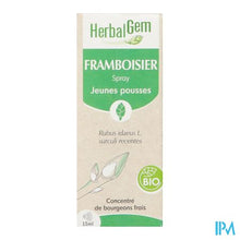 Charger l'image dans la galerie, Herbalgem Frambozenstruik Bio Spray 15ml