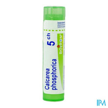 Load image into Gallery viewer, Calcarea Phosphorica 5ch Gr 4g Boiron