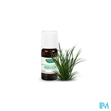Afbeelding in Gallery-weergave laden, Phytosun Citronella Java 10ml