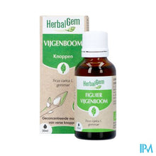 Afbeelding in Gallery-weergave laden, Herbalgem Vijgenboom Bio 30ml