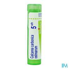 Afbeelding in Gallery-weergave laden, Calcarea Carbonica Ostrearum 5ch Gr 4g Boiron