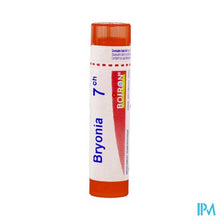 Load image into Gallery viewer, Bryonia 7ch Gr 4g Boiron