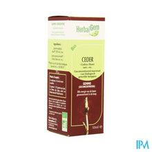 Charger l'image dans la galerie, Herbalgem Libanonceder Maceraat 50ml