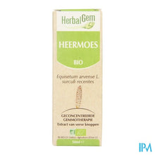 Charger l'image dans la galerie, Herbalgem Heermoes Maceraat 50ml