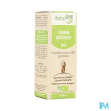 Charger l'image dans la galerie, Herbalgem Kastanje Maceraat 15ml
