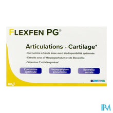 Afbeelding in Gallery-weergave laden, Flexfen Pg Pharmagenerix Blister Caps 60