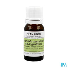 Afbeelding in Gallery-weergave laden, Pranarom Eo Echte Lavendel 10ml