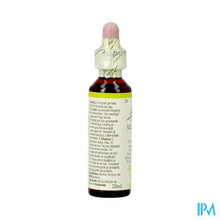 Charger l'image dans la galerie, Bach Flower Remedie 21 Mustard 20ml